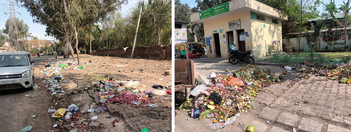 Mohali residents are suffering from basic amenities: Pupa PuriMohali residents are suffering from basic amenities: Pupa Puri